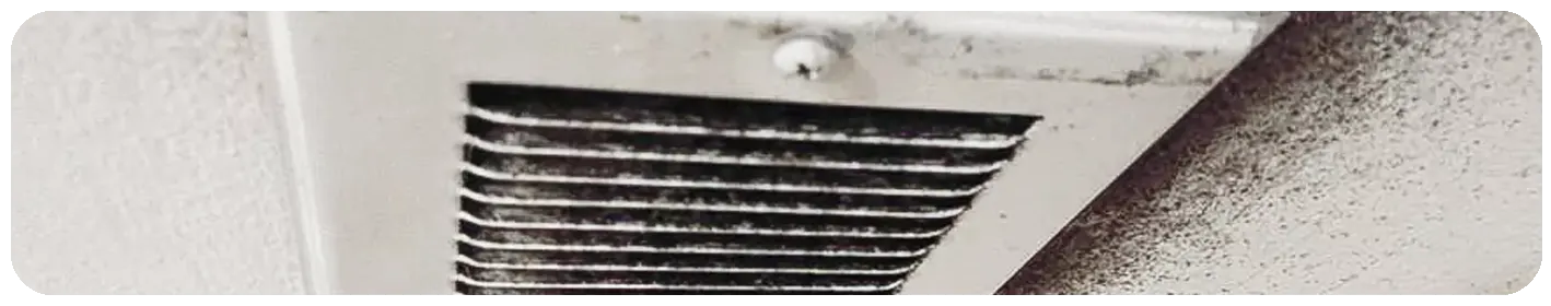 Mold to Grow in HVAC Ducts