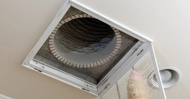 How To Get Rid Of Mold in Air Ducts & HVAC