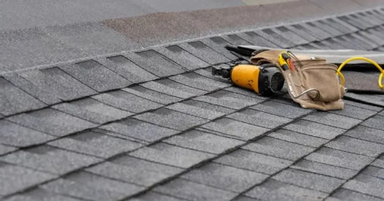Roof Maintenance